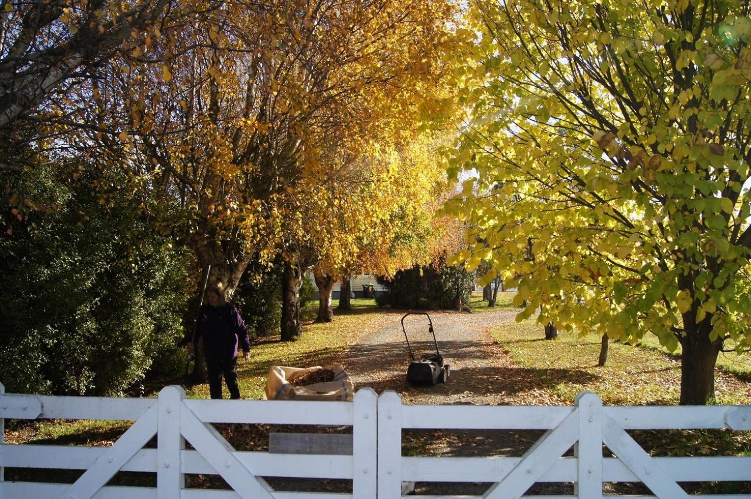 Oliver'S Farmstay Temuka Zewnętrze zdjęcie